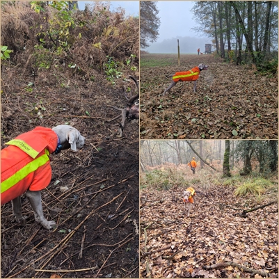 2025-1108-DJ Hünxe-page-01 2025-1108-DJ Hünxe-page-01