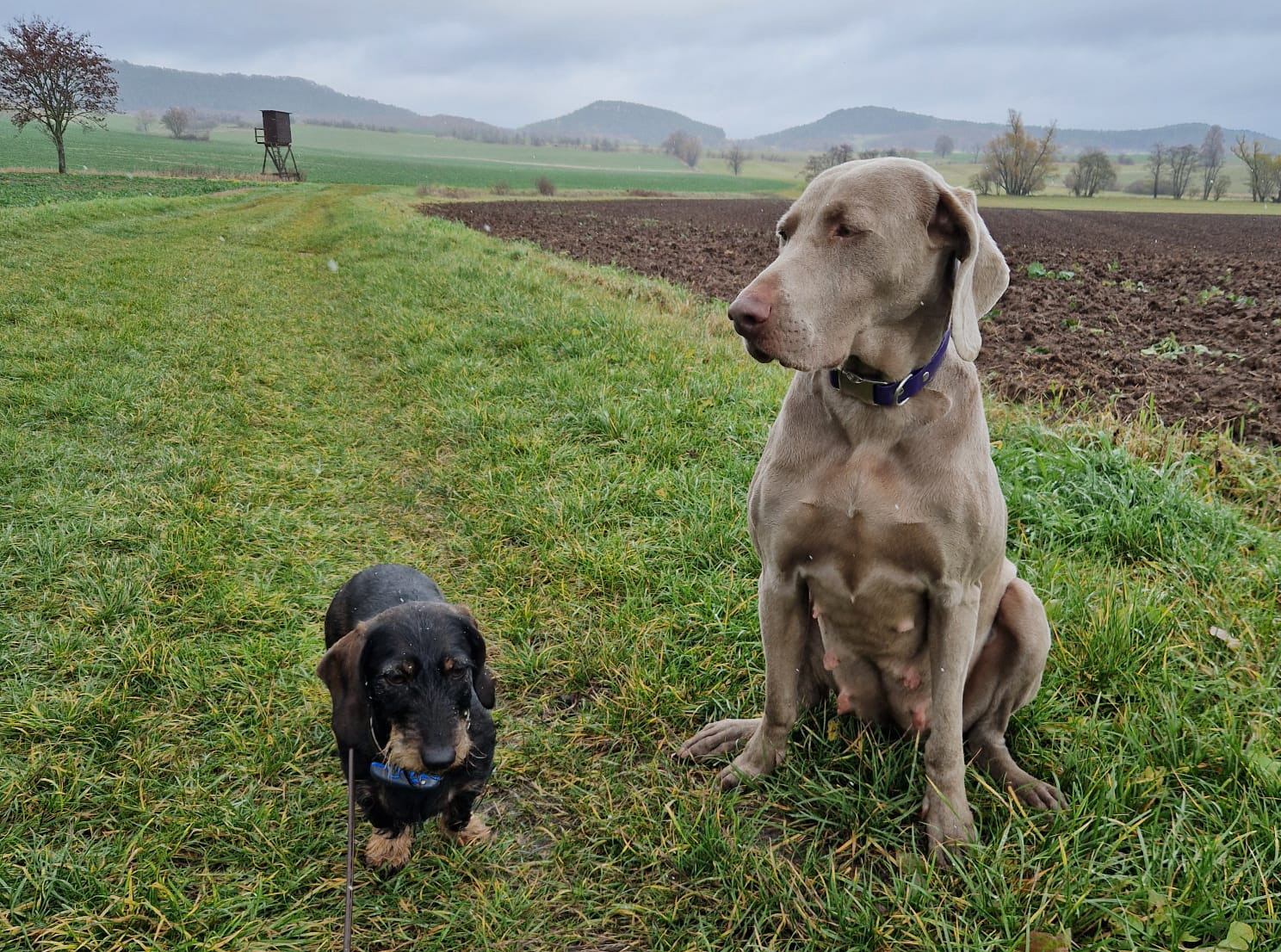 2025-1120-01 2025-1120-01