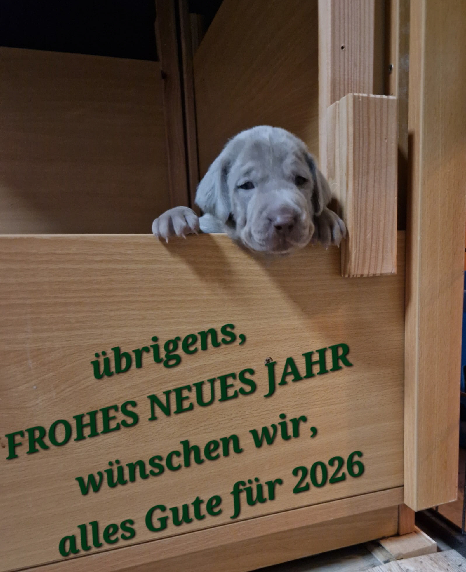 2026-Neujahrsgru�