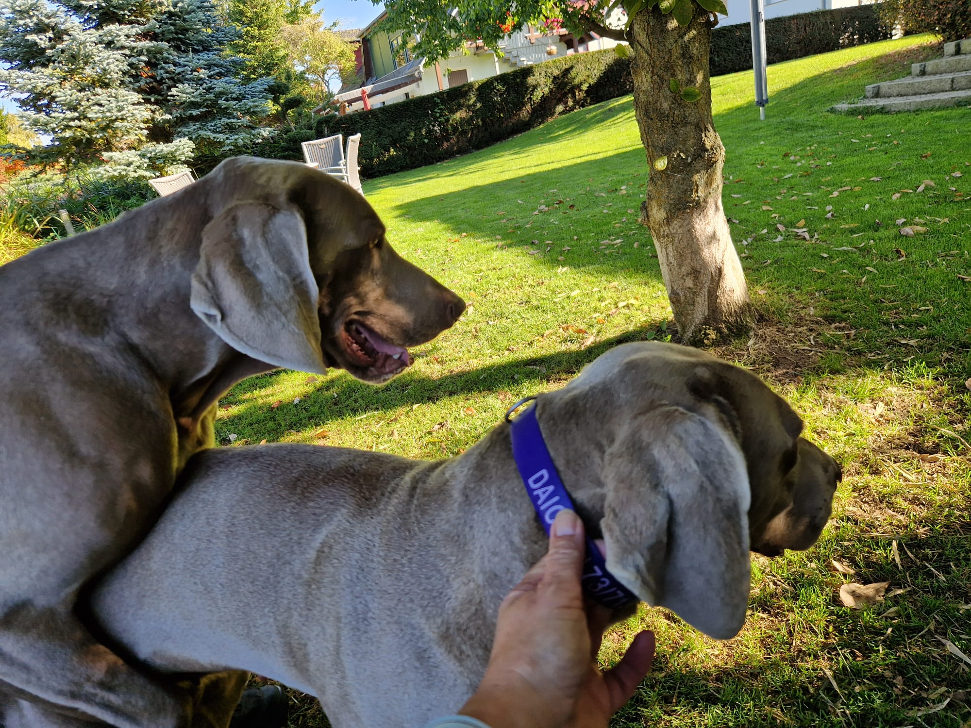 WhatsApp Bild 2025-11-06 um 21.03.31_00641482